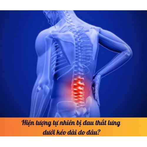 Hiện tượng tự nhiên bị đau thắt lưng dưới kéo dài do đâu?